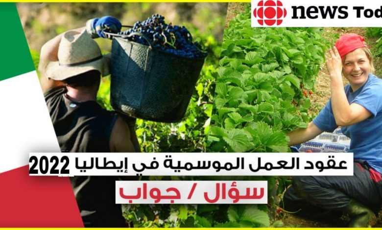 طريقة التسجيل وموقع الحصول على عقد العمل الموسمي في إيطاليا 2022