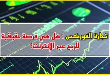 تجاة الفوركس : هل هي فرصة حقيقة لتحقيق أرباح عالية من الأنترنت؟