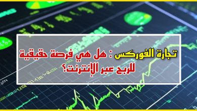 تجاة الفوركس : هل هي فرصة حقيقة لتحقيق أرباح عالية من الأنترنت؟